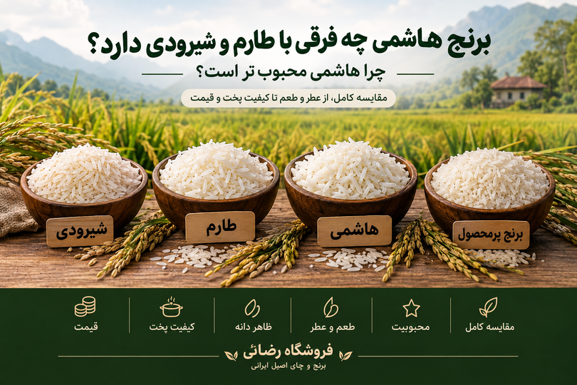 برنج هاشمی چه فرقی با طارم و شیرودی دارد؟ چرا هاشمی محبوبتر است؟