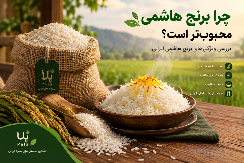 چرا برنج هاشمی محبوبتر است؟ بررسی ویژگیهای برنج هاشمی ایرانی