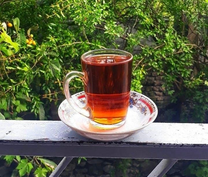 چای ممتاز لاهیجان بهاره ۱ کیلویی | عطری قوی، خالص و درجه یک