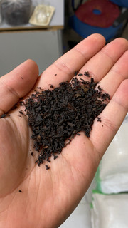 چای ممتاز لاهیجان بهاره ۵۰۰ گرمی خوشعطر، پررنگ و باکیفیت