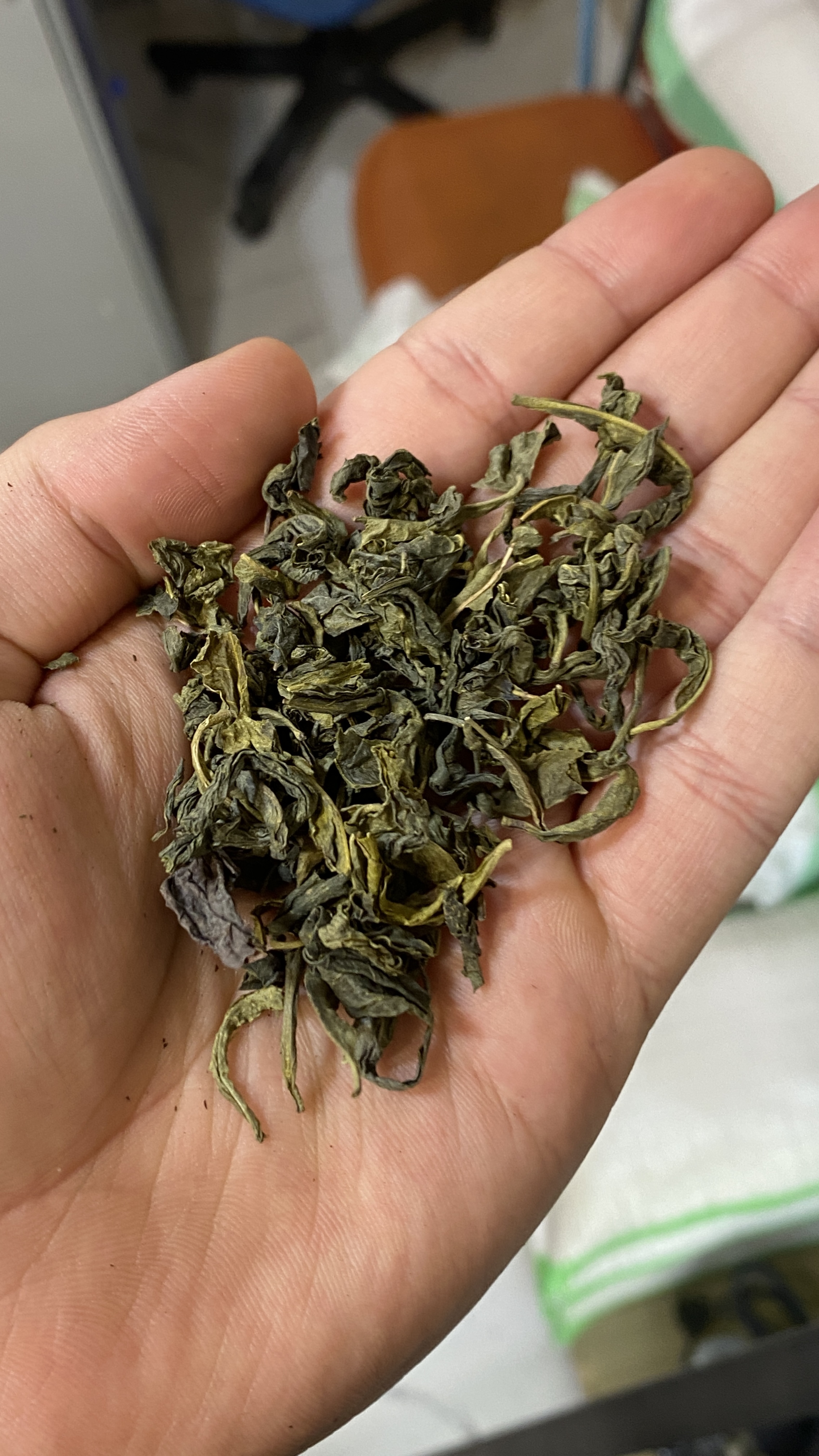 چای سبز خالص ۱ کیلویی | خوش‌عطر + سالم + مصرف روزانه